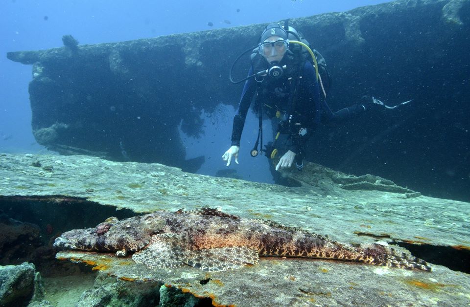 Diving in the Red Sea